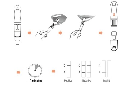 test na drogy zo slín 